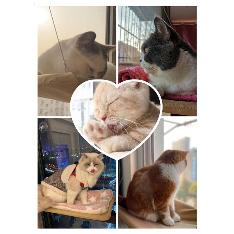 Cat Sunny Seat Window Mount Pet Cat Hammock Comfortable Cat Pet Bed Cute Pet Hanging Beds Bearing 20kg-2
