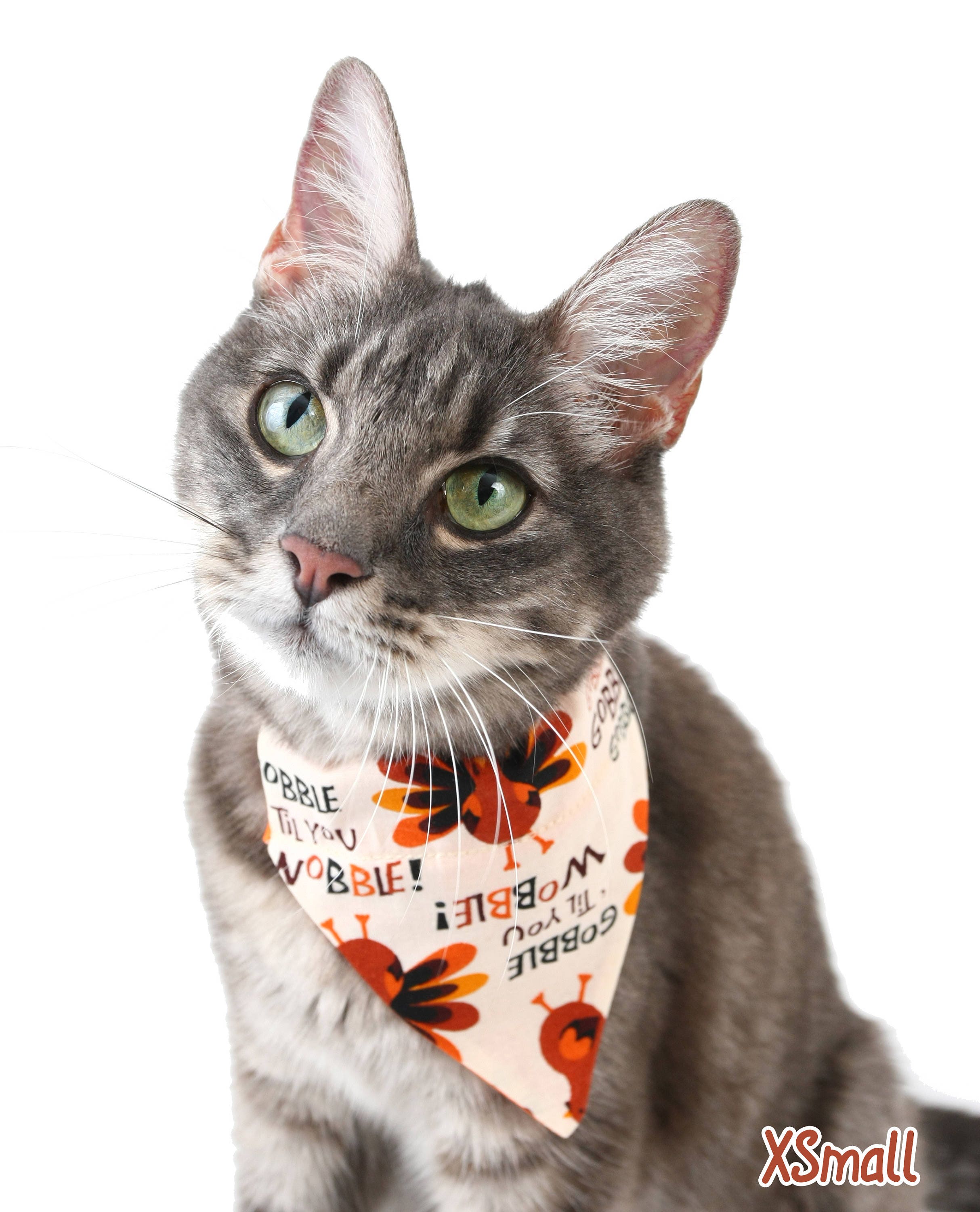 Gobble Til You Wobble Pet Scarf